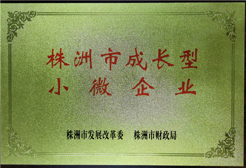 湖南世瑞环保科技有限公司,株洲治理餐饮油烟污染,厨房清理